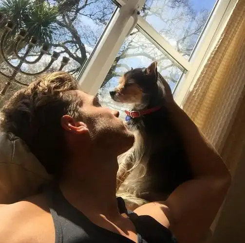 6686体育中级作者近在远方