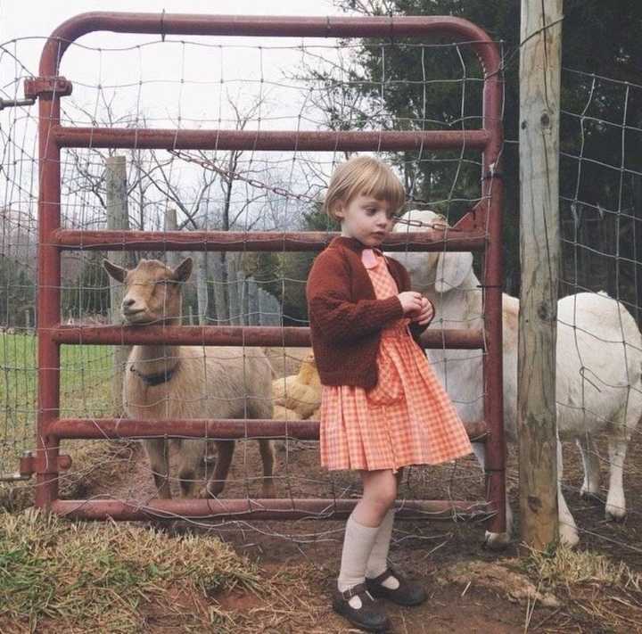 6686体育银牌作者Ava