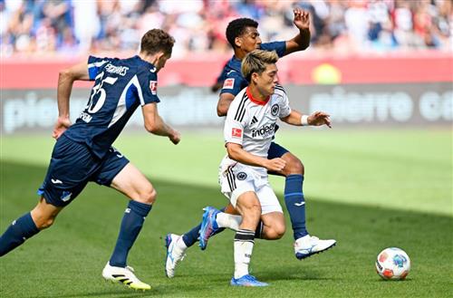 TSG 霍芬海姆 vs 法兰克福